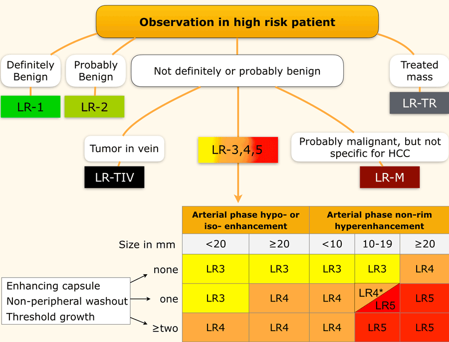 LI-RADS diagnostic algorithm overview: observation categories from LR-1 through LR-5 based on arterial phase enhancement, lesion size, and major features